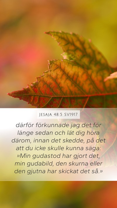Jesaja 48:5 SV1917 Bible Verse Image