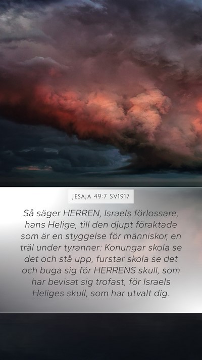 Jesaja 49:7 SV1917 Mobile Phone Wallpaper - Så säger HERREN, Israels förlossare, hans - Mobile Bible Verse Wallpaper