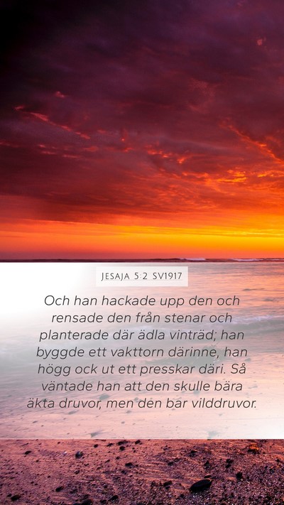 Jesaja 5:2 SV1917 Bible Verse Image