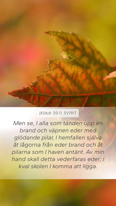 Jesaja 50:11 SV1917 Bible Verse Image