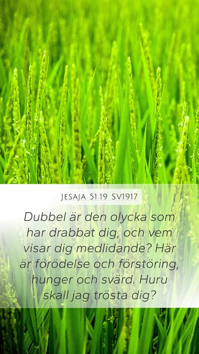 Jesaja 51:19 SV1917 Bible Verse Image