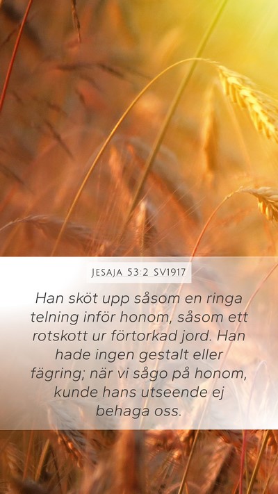 Jesaja 53:2 SV1917 Bible Verse Image