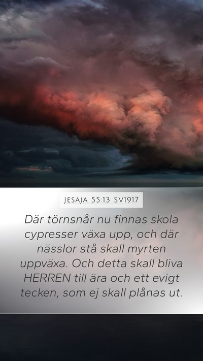 Jesaja 55:13 SV1917 Bible Verse Image