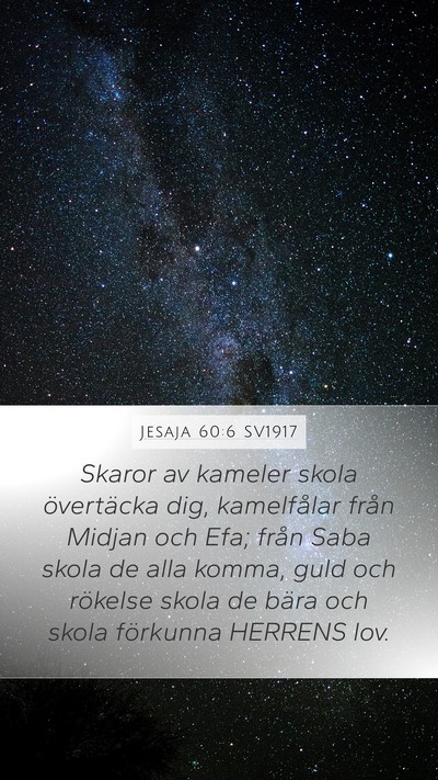 Jesaja 60:6 SV1917 Bible Verse Image