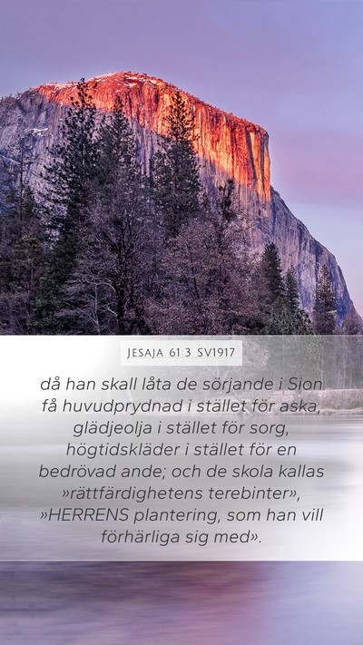 Jesaja 61:3 SV1917 Bible Verse Image