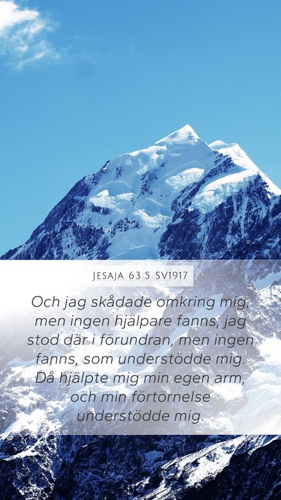 Jesaja 63:5 SV1917 Bible Verse Image