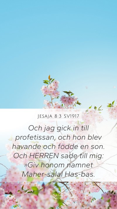 Jesaja 8:3 SV1917 Bible Verse Image