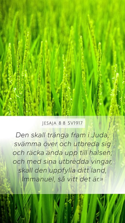 Jesaja 8:8 SV1917 Bible Verse Image