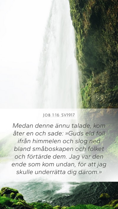 Job 1:16 SV1917 Bible Verse Image