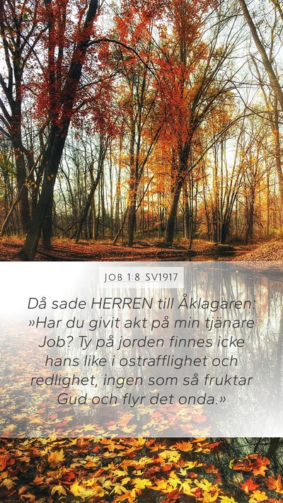 Job 1:8 SV1917 Bible Verse Image