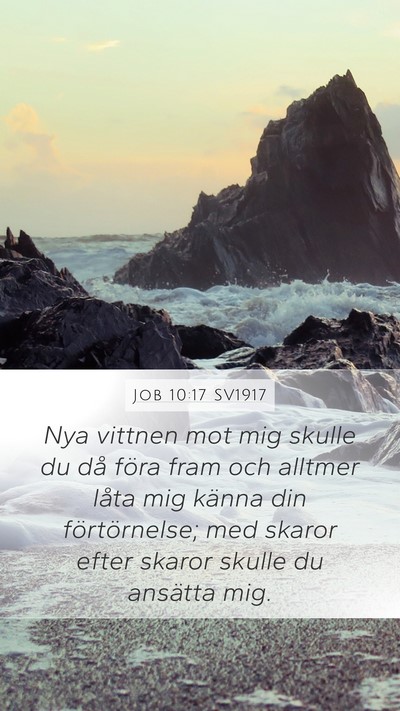 Job 10:17 SV1917 Bible Verse Image