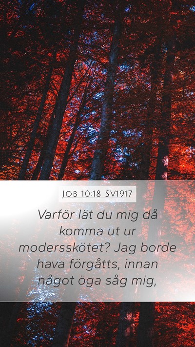 Job 10:18 SV1917 Bible Verse Image