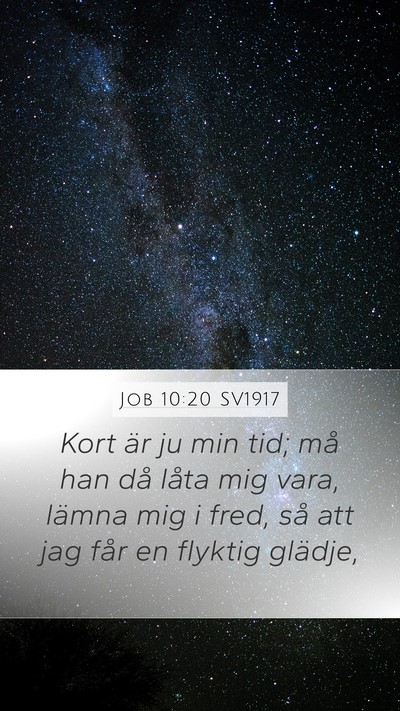 Job 10:20 SV1917 Bible Verse Image