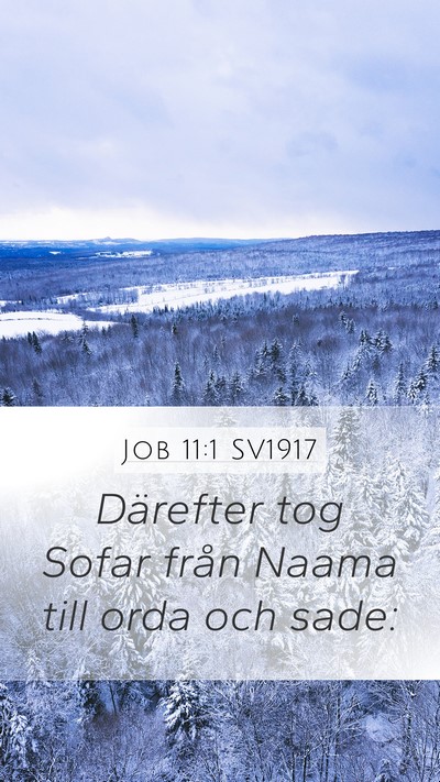 Job 11:1 SV1917 Bible Verse Image