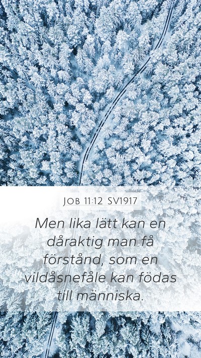 Job 11:12 SV1917 Bible Verse Image