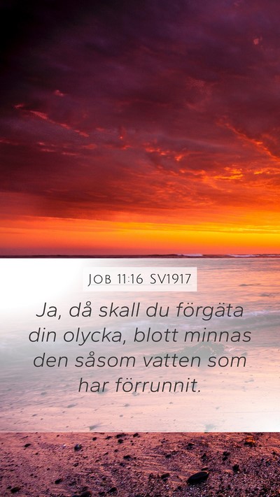 Job 11:16 SV1917 Mobile Phone Wallpaper - Ja, då skall du förgäta din olycka, blott - Mobile Bible Verse Wallpaper