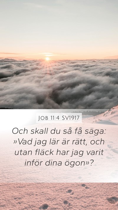 Job 11:4 SV1917 Bible Verse Image