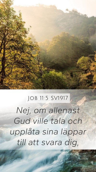 Job 11:5 SV1917 Bible Verse Image