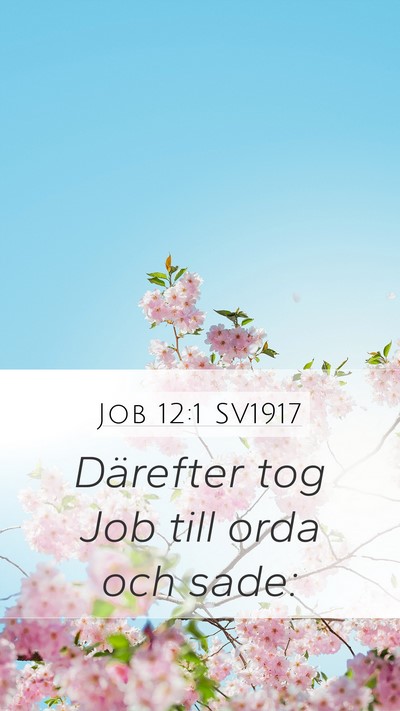 Job 12:1 SV1917 Mobile Phone Wallpaper - Därefter tog Job till orda och - Mobile Bible Verse Wallpaper