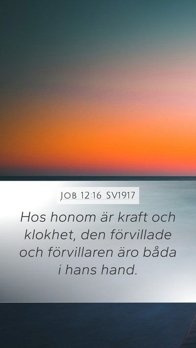 Job 12:16 SV1917 Bible Verse Image