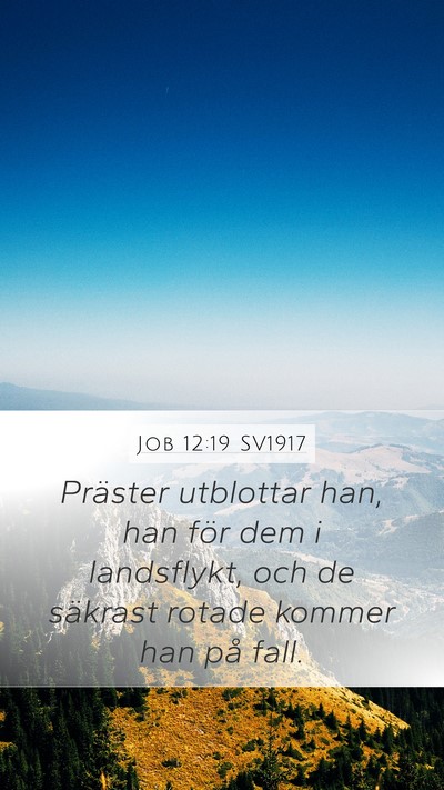 Job 12:19 SV1917 Bible Verse Image