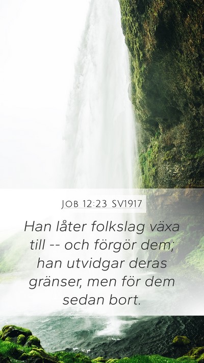 Job 12:23 SV1917 Bible Verse Image