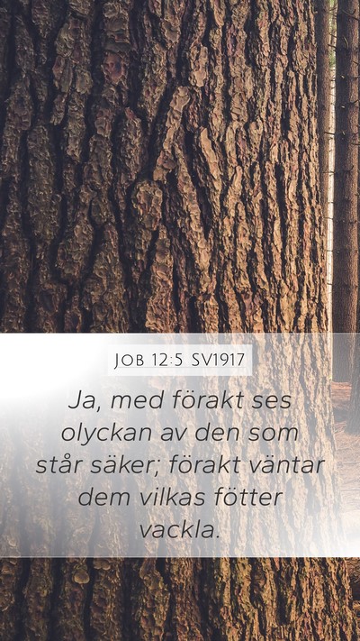 Job 12:5 SV1917 Bible Verse Image
