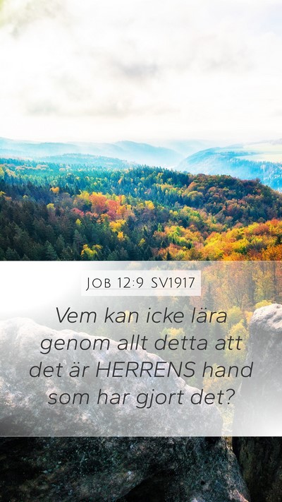 Job 12:9 SV1917 Bible Verse Image