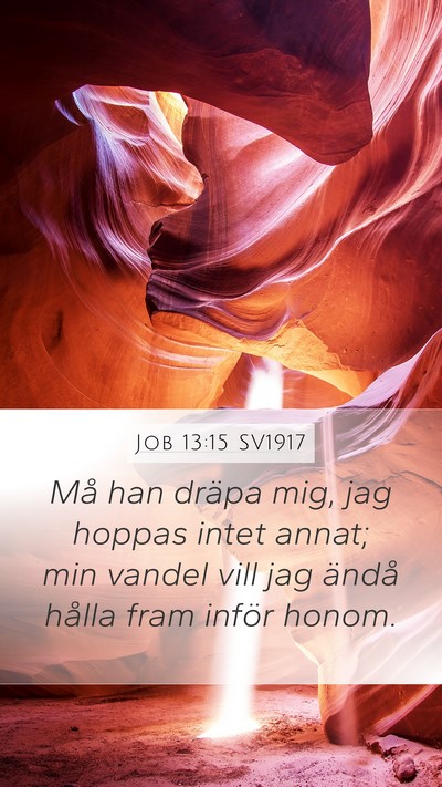 Job 13:15 SV1917 Bible Verse Image