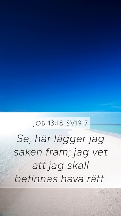 Job 13:18 SV1917 Bible Verse Image