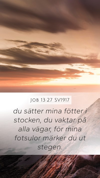 Job 13:27 SV1917 Bible Verse Image