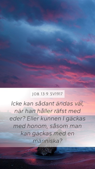 Job 13:9 SV1917 Bible Verse Image