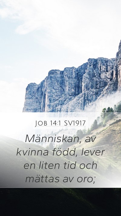 Job 14:1 SV1917 Bible Verse Image