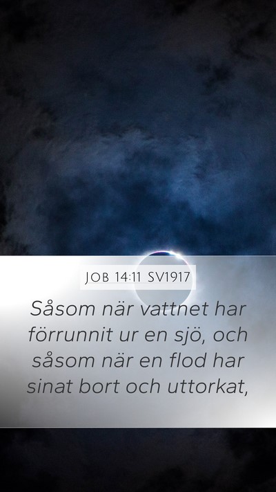 Job 14:11 SV1917 Mobile Phone Wallpaper - Såsom när vattnet har förrunnit ur en sjö, - Mobile Bible Verse Wallpaper