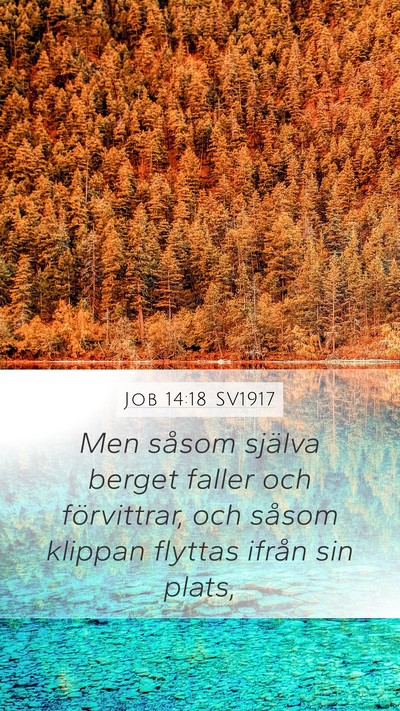 Job 14:18 SV1917 Bible Verse Image