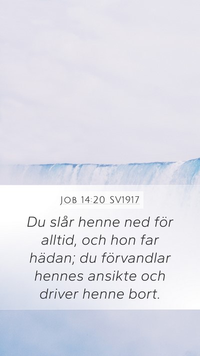 Job 14:20 SV1917 Bible Verse Image