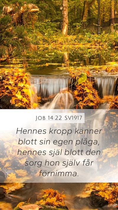 Job 14:22 SV1917 Mobile Phone Wallpaper - Hennes kropp känner blott sin egen plåga, - Mobile Bible Verse Wallpaper