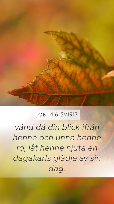 Job 14:6 SV1917 Bible Verse Image
