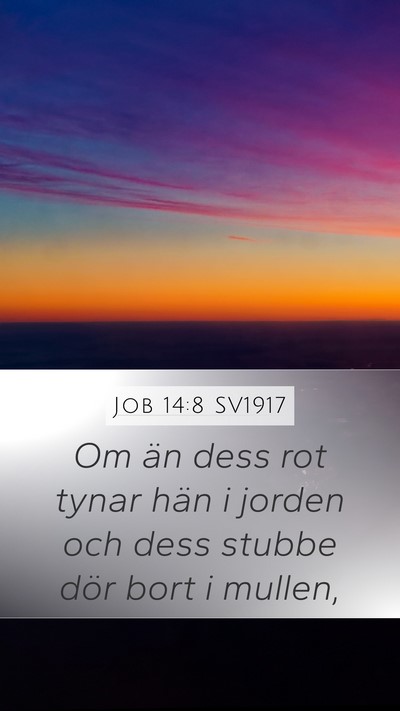Job 14:8 SV1917 Mobile Phone Wallpaper - Om än dess rot tynar hän i jorden och dess - Mobile Bible Verse Wallpaper