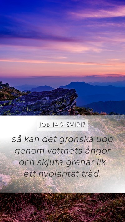 Job 14:9 SV1917 Mobile Phone Wallpaper - så kan det grönska upp genom vattnets ångor - Mobile Bible Verse Wallpaper