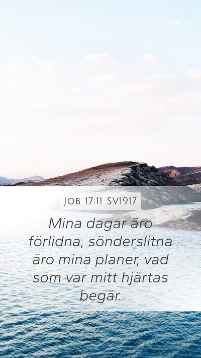 Job 17:11 SV1917 Bible Verse Image