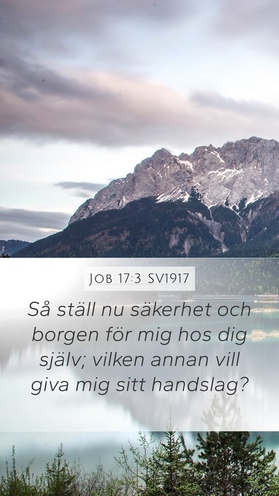 Job 17:3 SV1917 Bible Verse Image