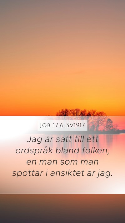 Job 17:6 SV1917 Bible Verse Image