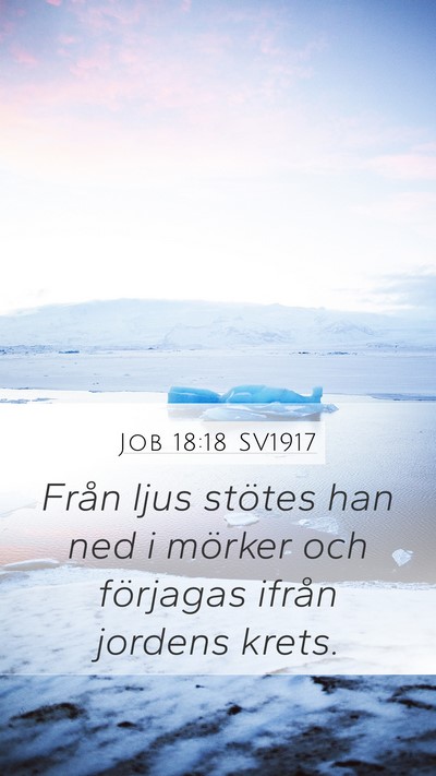 Job 18:18 SV1917 Bible Verse Image