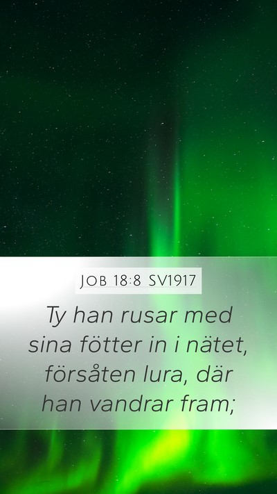 Job 18:8 SV1917 Bible Verse Image
