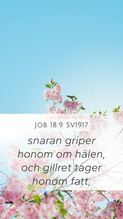 Job 18:9 SV1917 Bible Verse Image