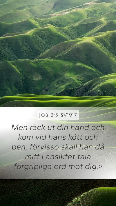 Job 2:5 SV1917 Bible Verse Image