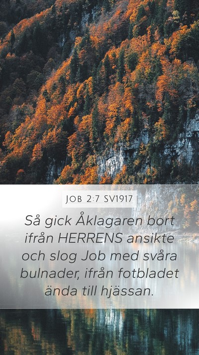 Job 2:7 SV1917 Bible Verse Image