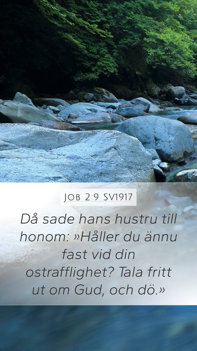 Job 2:9 SV1917 Bible Verse Image