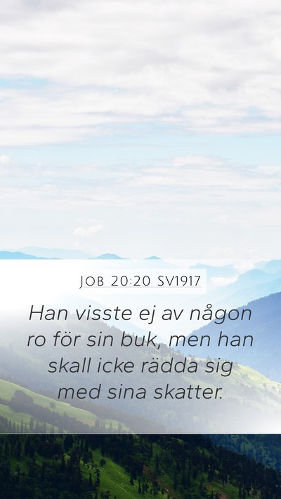 Job 20:20 SV1917 Bible Verse Image
